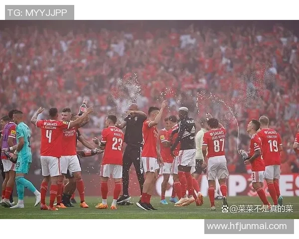 本菲卡大胜多特蒙德四球狂潮赛后点评引发热议